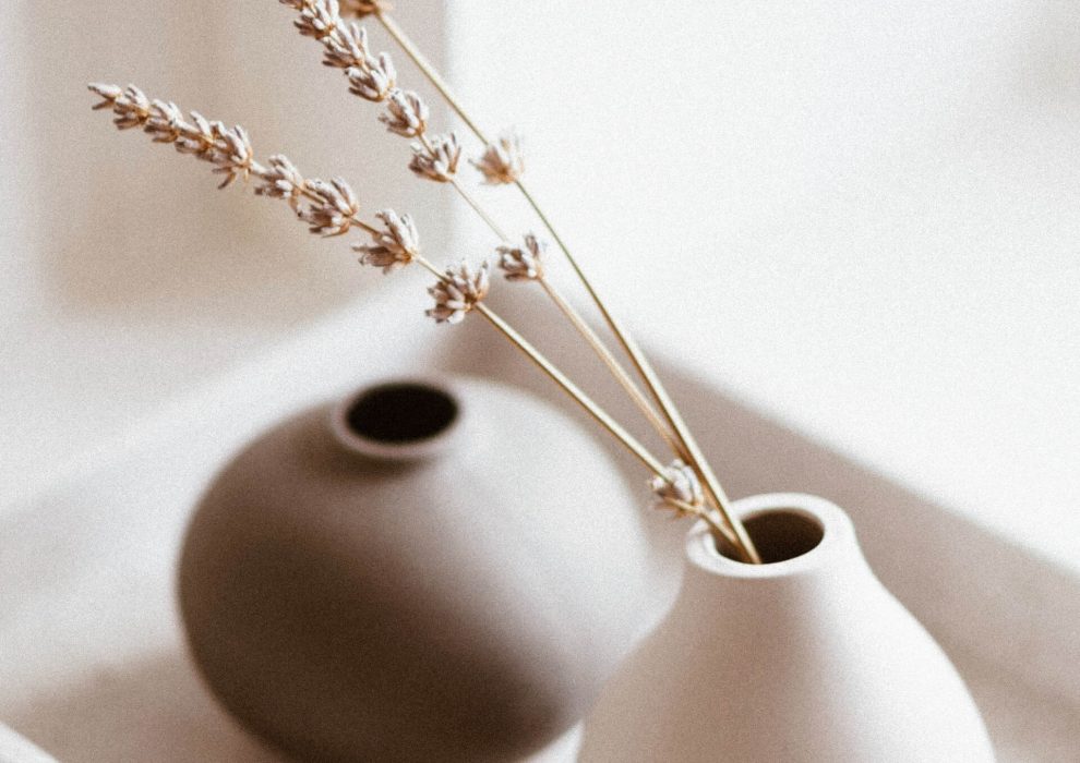 white-and-brown-vases