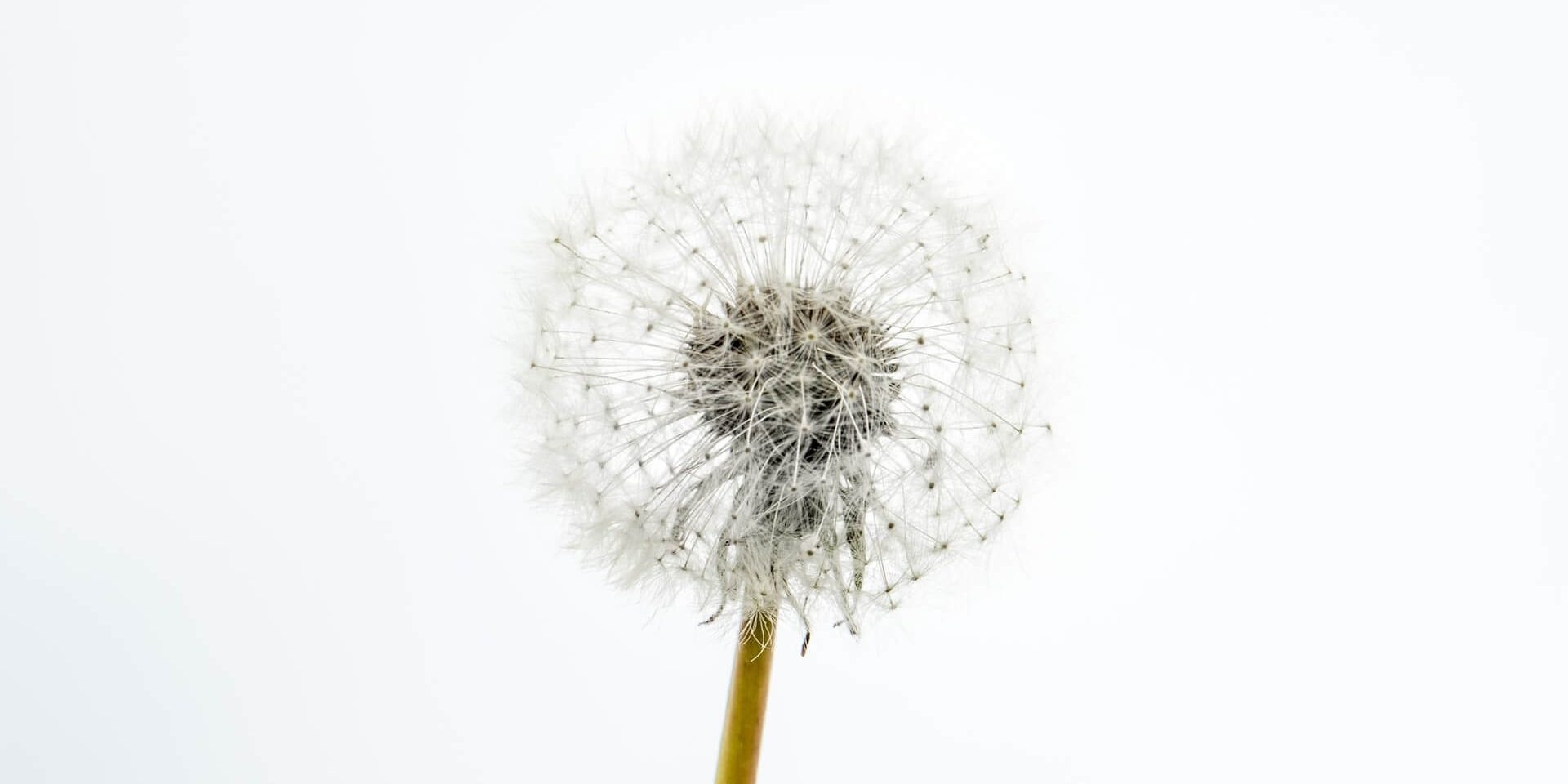 artiom-vallat-CNQSA-KfH1A-unsplash