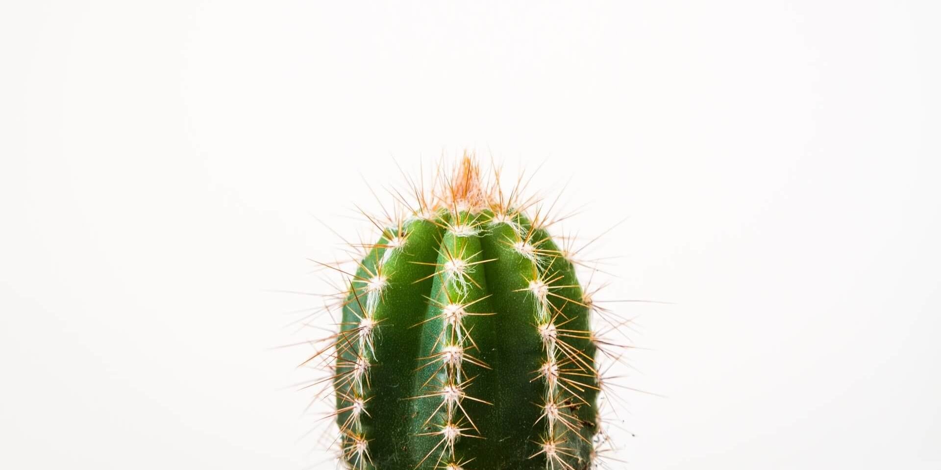 ugur-akdemir-xhMTF15IeBw-unsplash